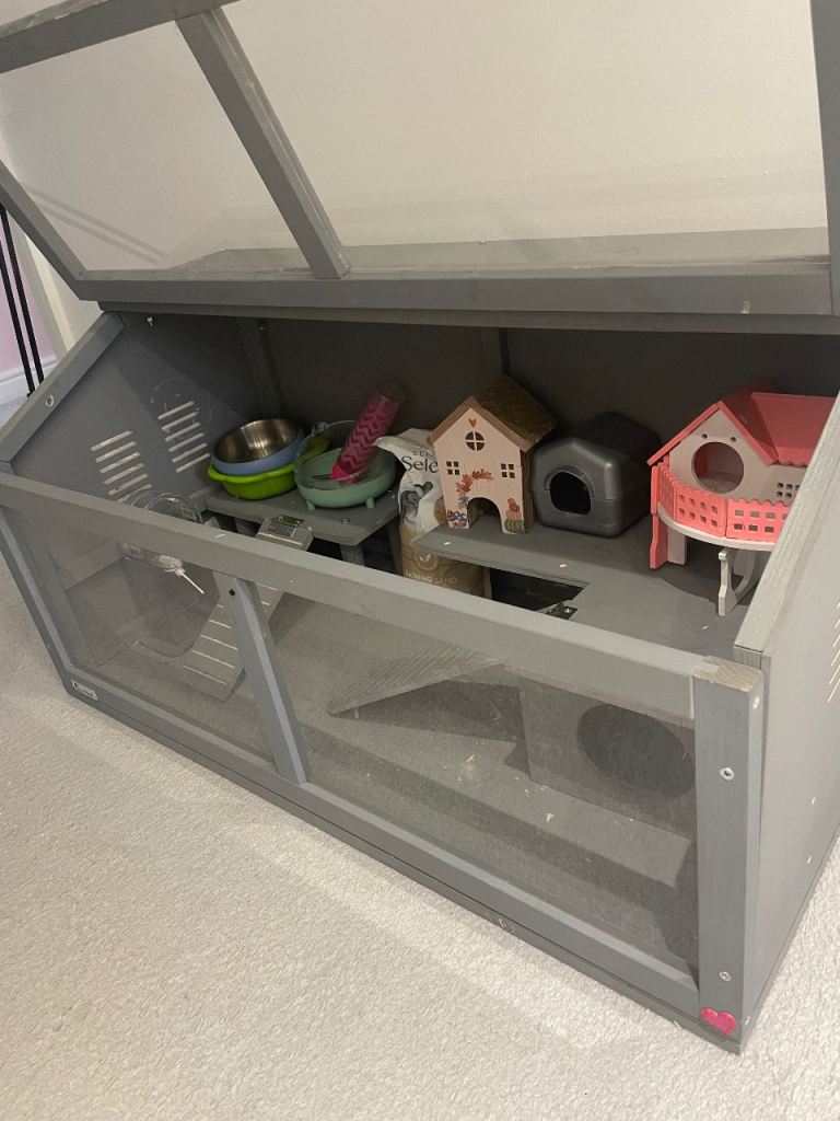 Pet Hamster home 