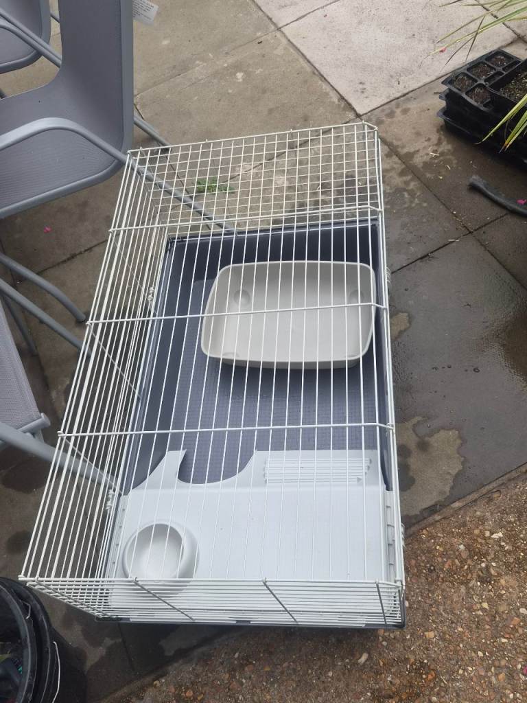Guinea pig cage