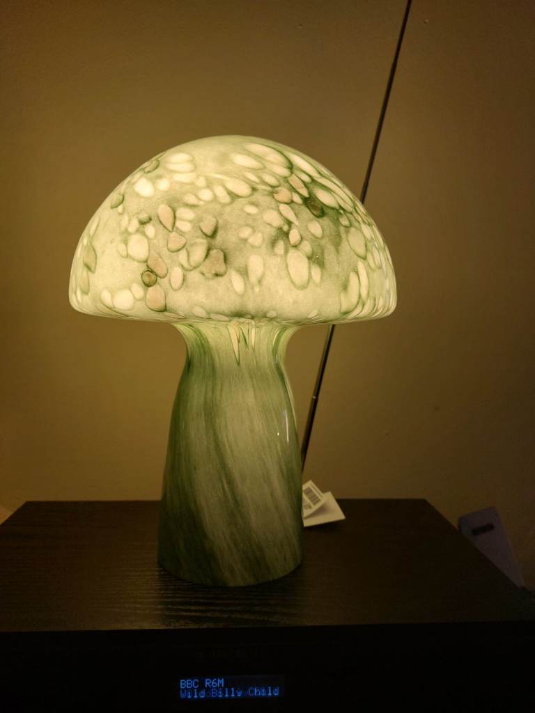 Small electric appliances 