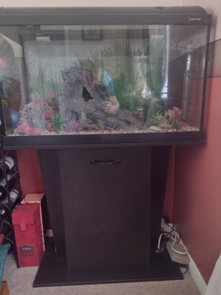 Complete Fish Tank Setup with Stand, Pump, Filter & Heater