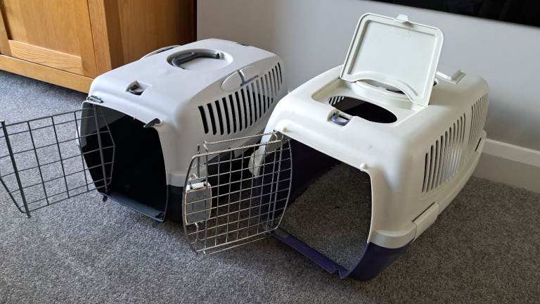 Cat items
