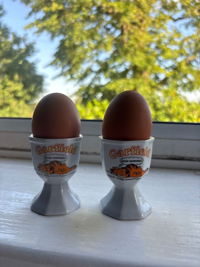 Pair of Garfield Egg Cups – Good Condition