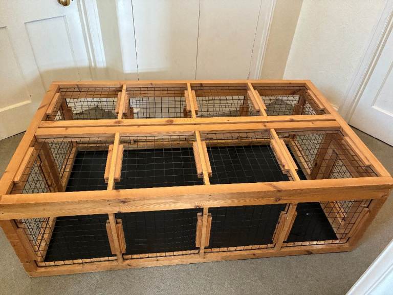 Large Indoor Cage for Guinea Pigs