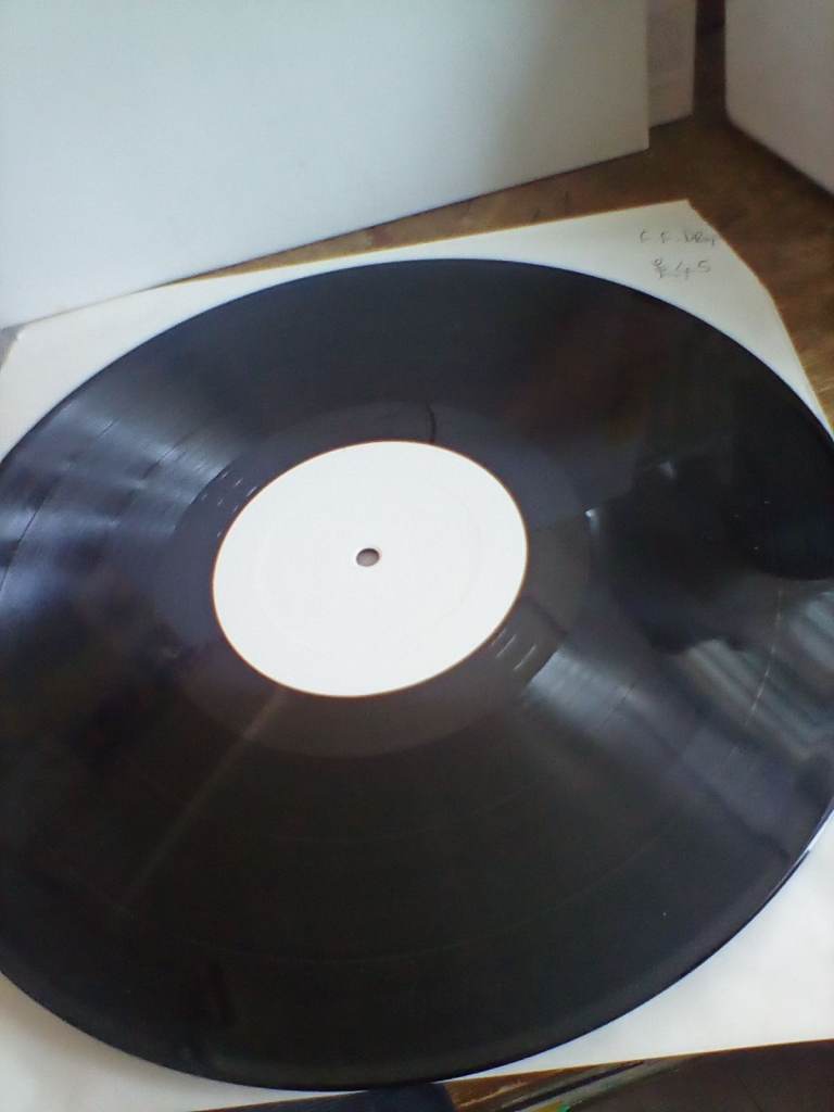 FAT FREDDY'S DROP , 12 INCH VINYL  WHITE LABEL ,. 