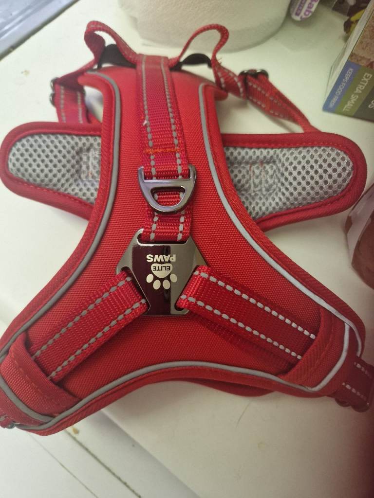 Medium red harness