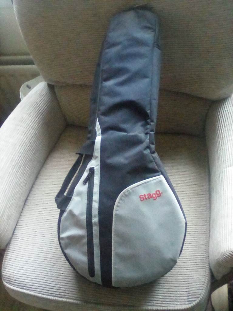 Left. Handed mandolin