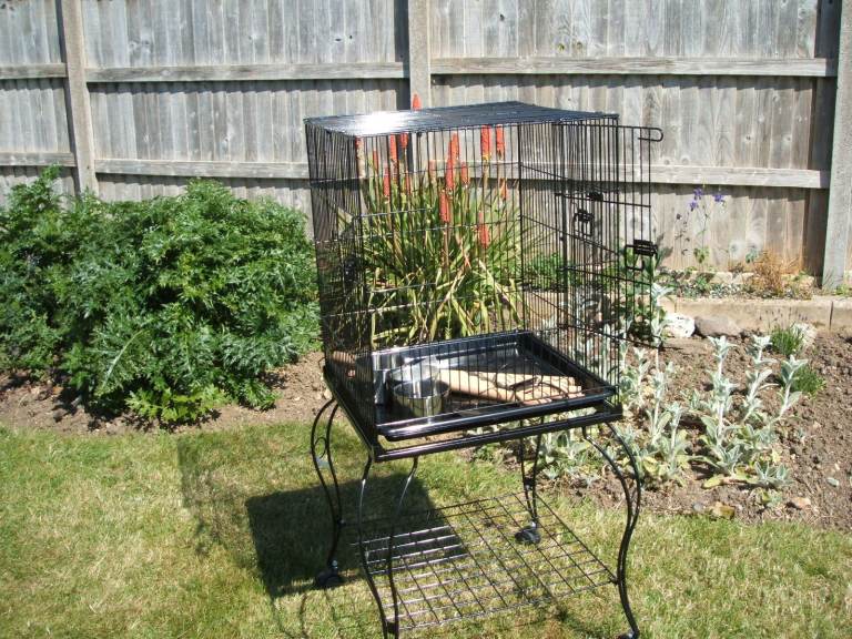 Large Bird Cage.