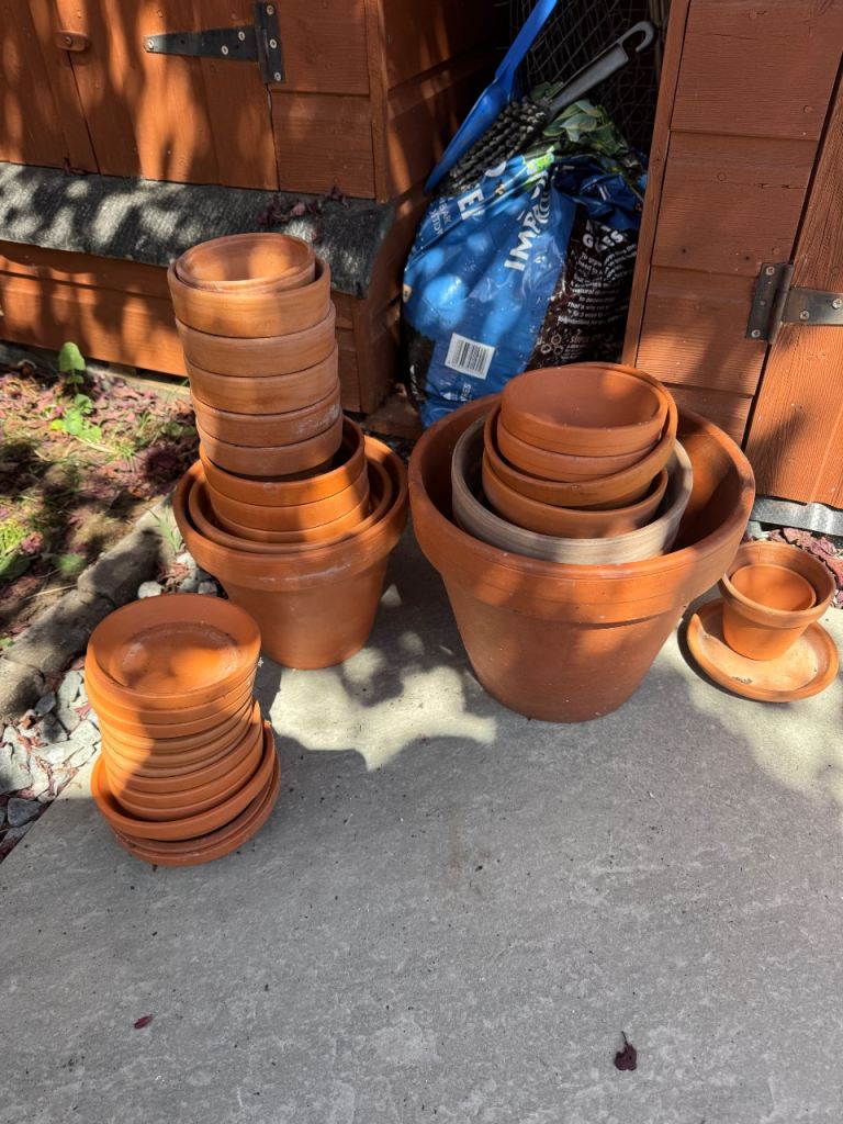 Terracotta Plant Pots with Saucers - Various Sizes