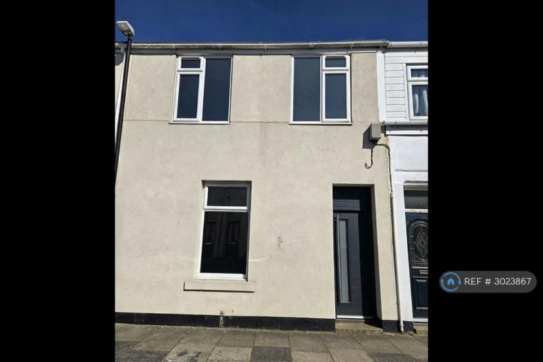 4 bedroom house in Elizabeth St, Sunderland, SR5 (4 bed) (#3023867)