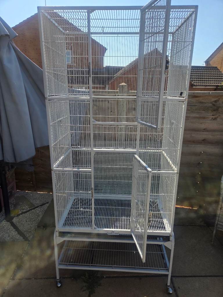 Parrot cage 