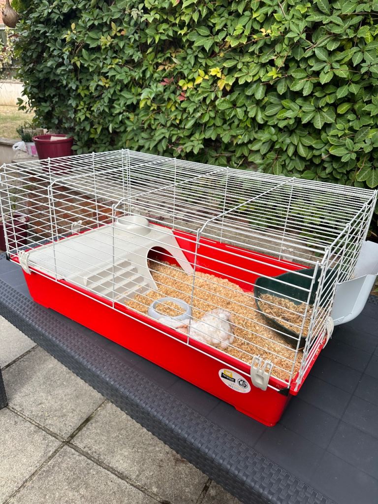 Large Indoor Rabbit / Guinea Pig Cage – Good Condition
