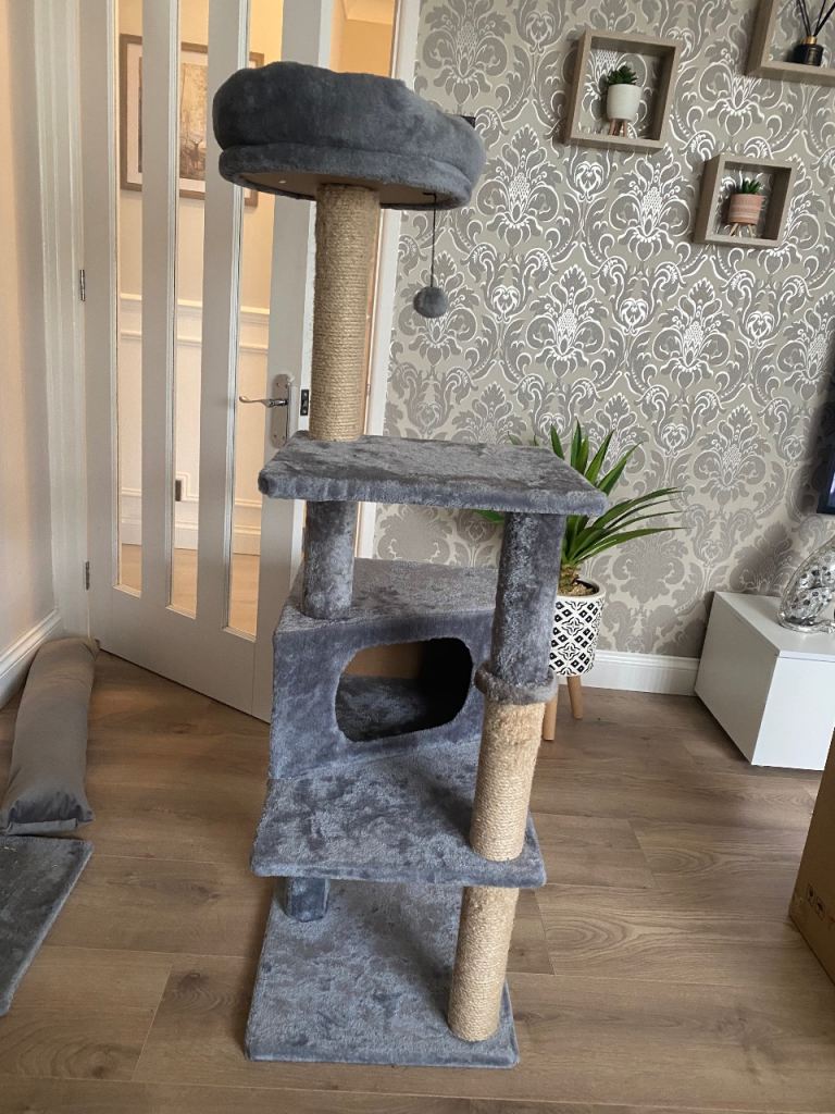 Grey cat scratching post 