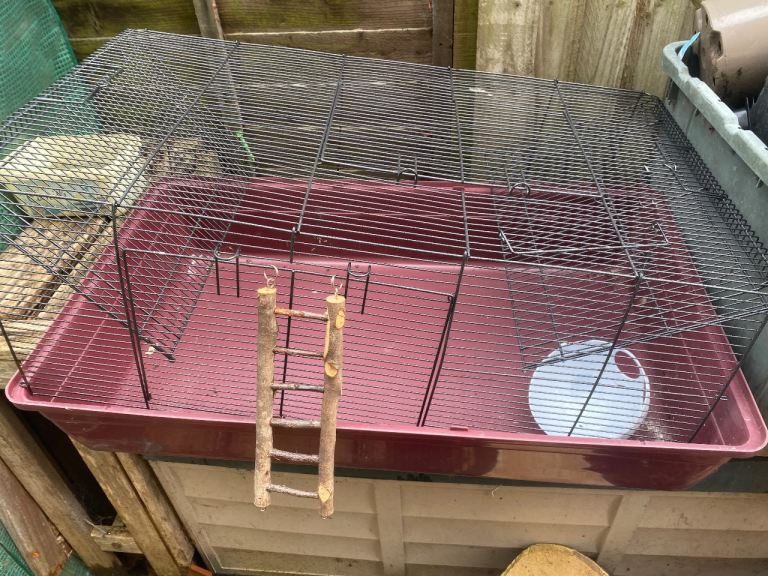 Per cage - taller than most