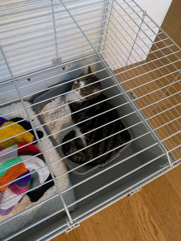 Large rabbit or guinea pig hutch/ cat cage