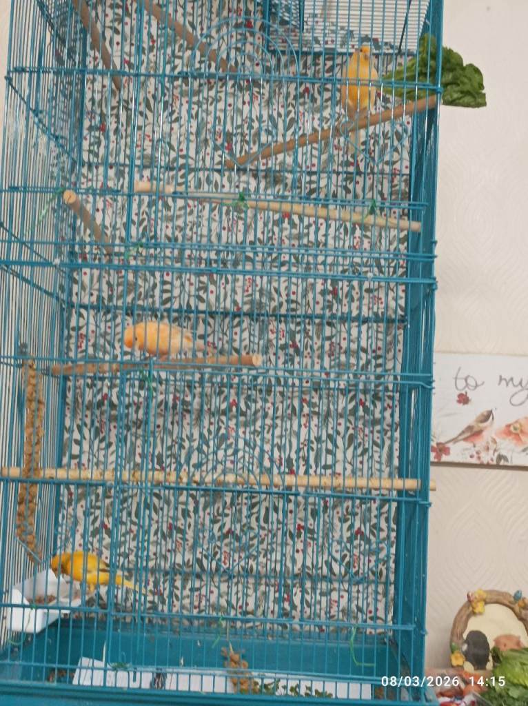 Turquoise Blue Tall Cage and Trolley with shelf for some little finches or canaries or 2 budgies 