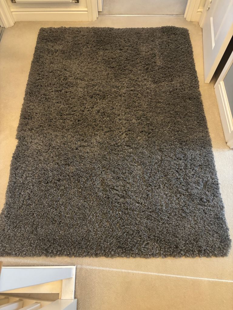 Deep pile rug