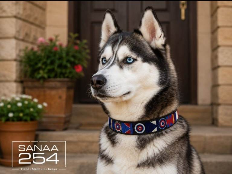 Hand made Beaded Genuine Leather Dog Collar for Large Dogs