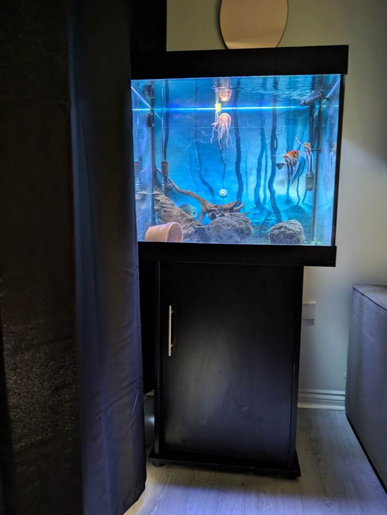 Complete Fish Tank Setup with Cabinet and Filter