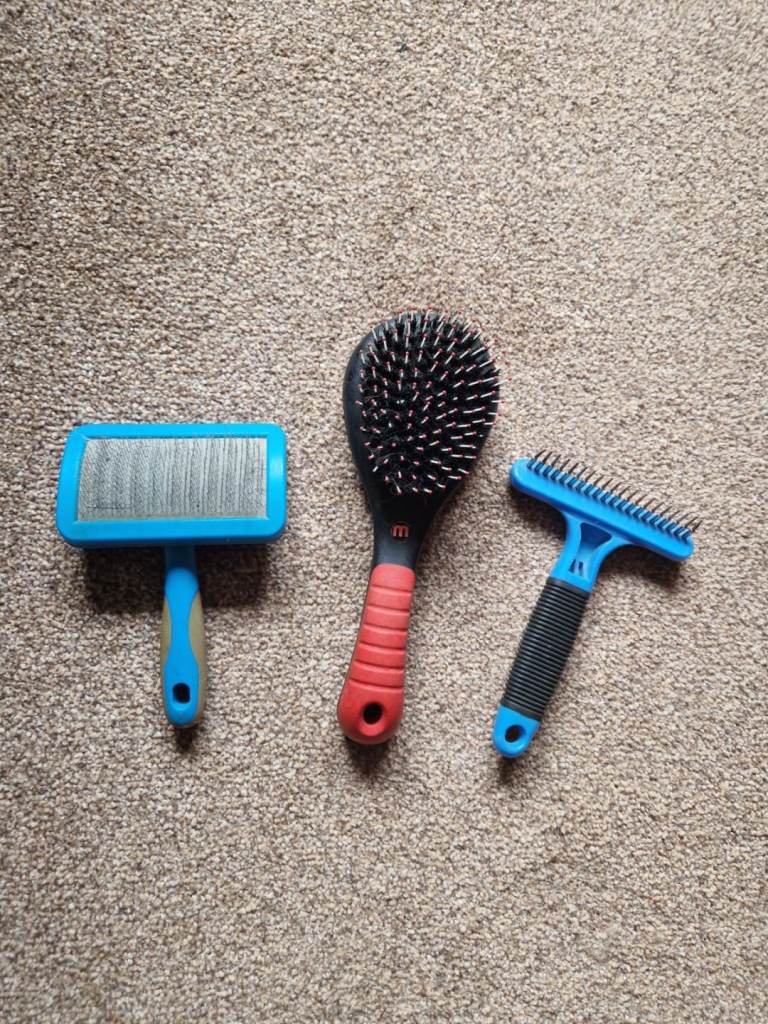 Dog grooming equipment