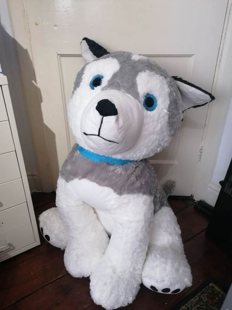 Big husky dog toy