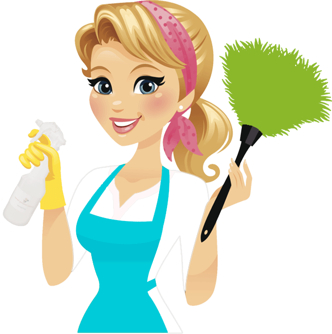 Domestic Professional Cleaner
