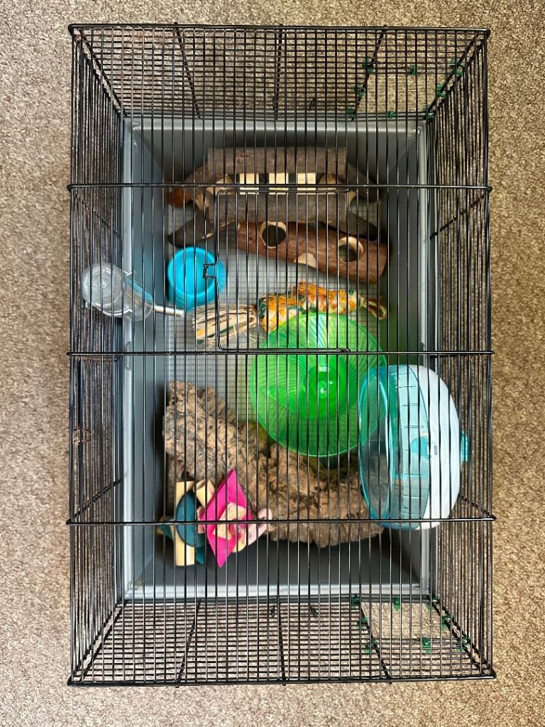 Dwarf hamster/ mouse cage