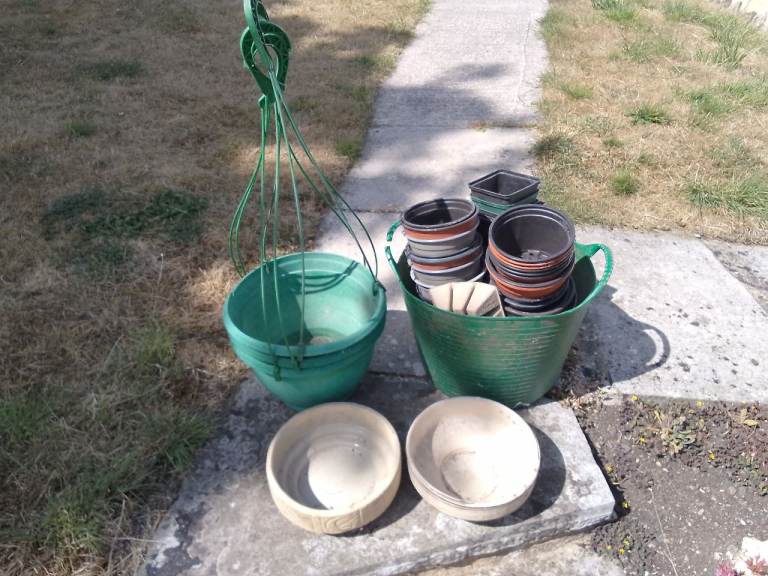 Free assortment of plant pots etc 