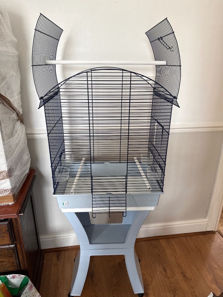 Bird cage 
