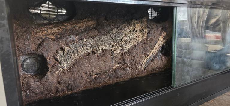 Reptile enclosure custom build 
