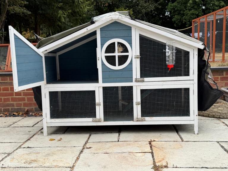 Rabbit house 