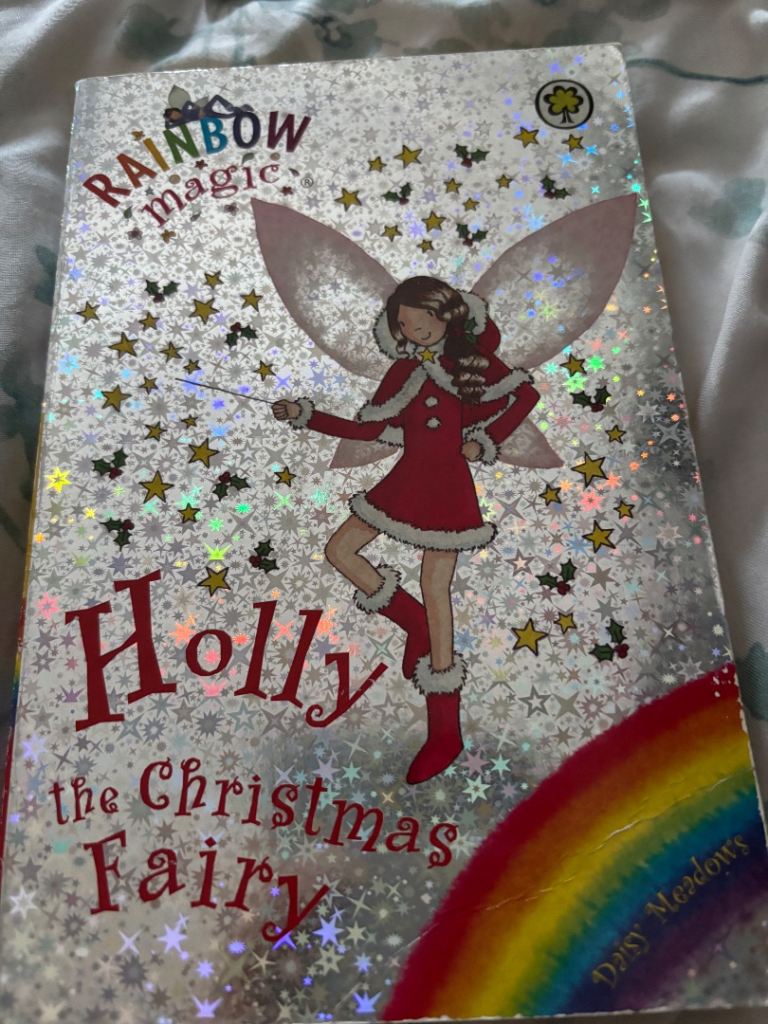 Rainbow Magic: Holly the Christmas Fairy Book – Good Condition