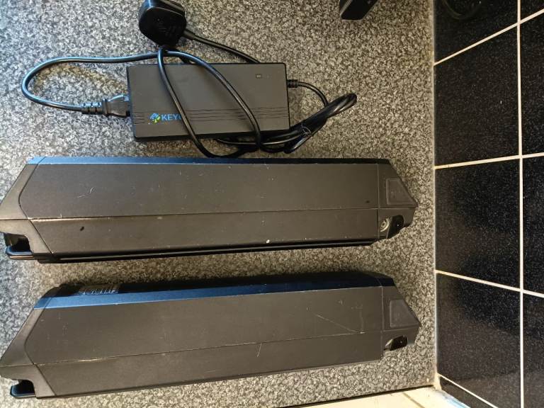2 * 48 v Batteries+ 1 charger 