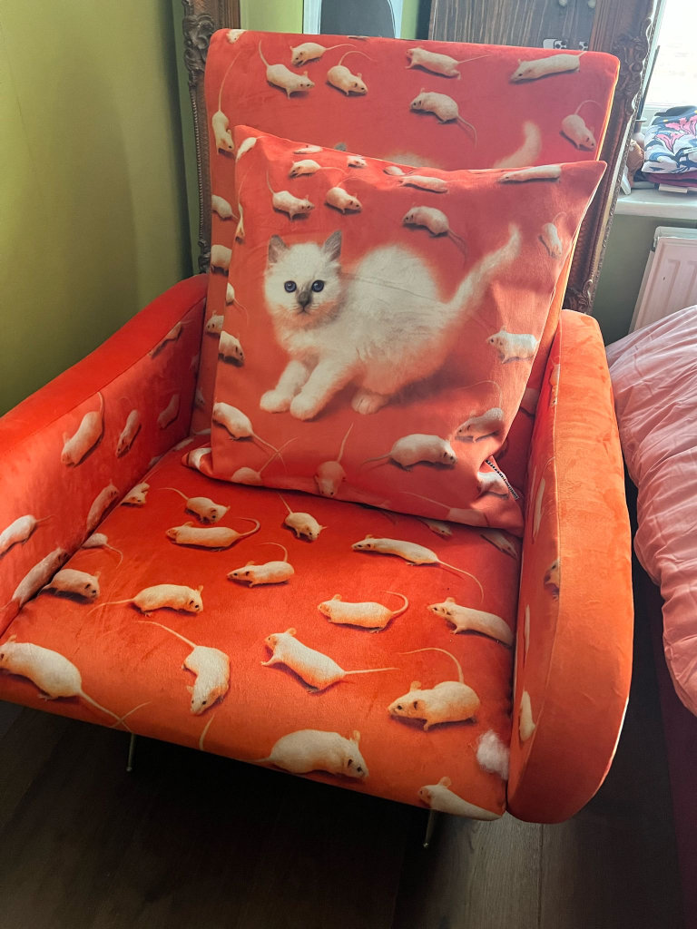 Seletti x Toiletpaper Armchair Cat kitten print RRP £1,250