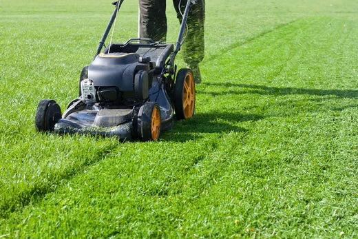 🌿 Grass Cutting & Strimming Services – North & South Ayrshire 🌿