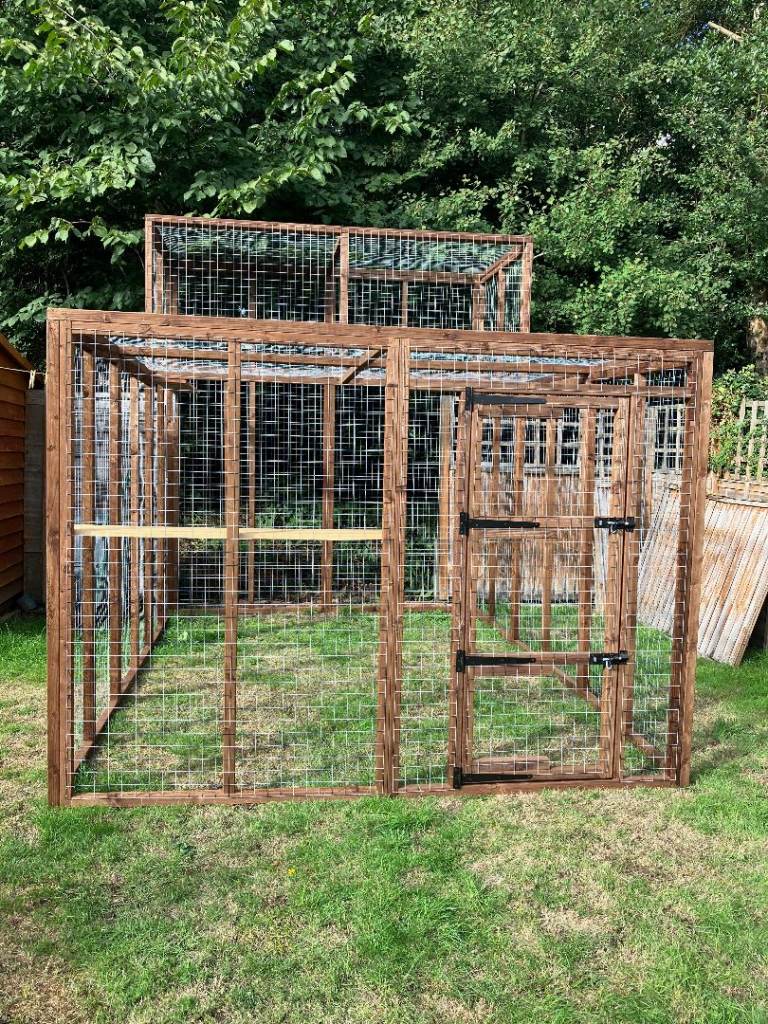 Catio