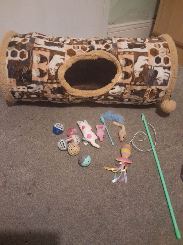 Cat tunnel and toys