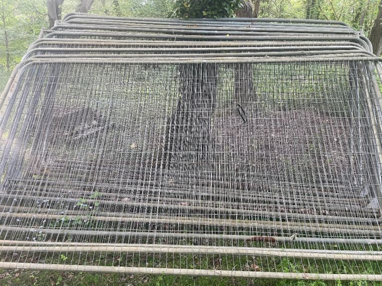 Security fencing 
