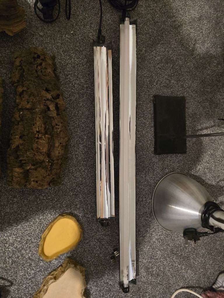 Variuos reptile equipment