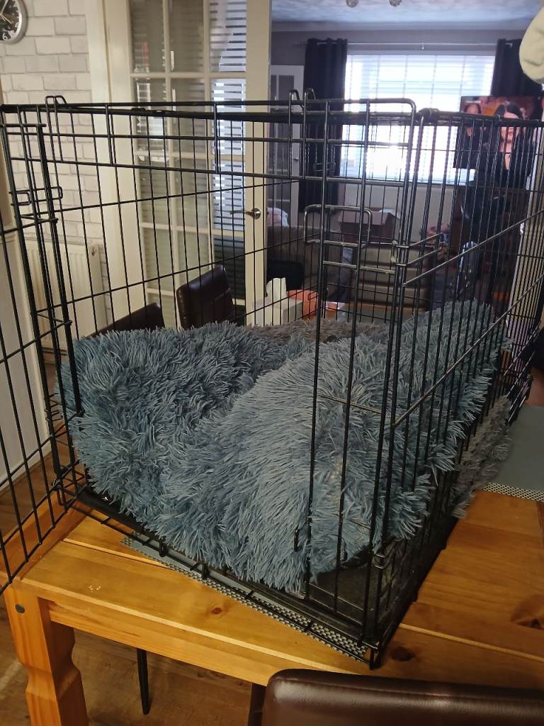 Dog Cage
