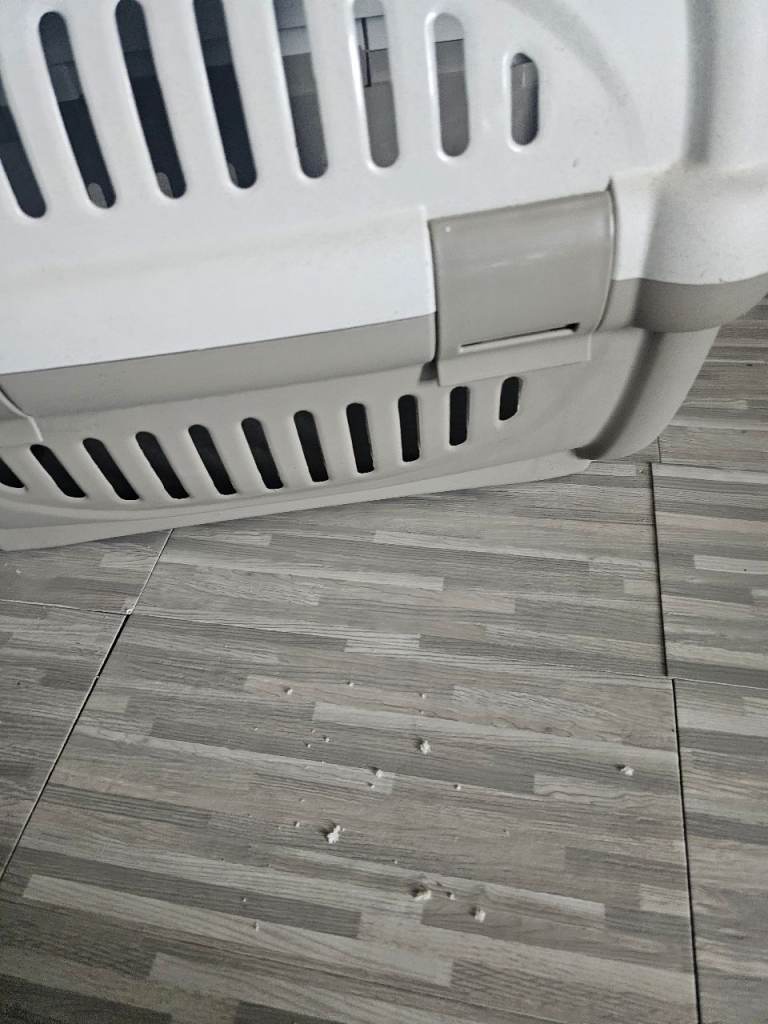 Pet carrier 
