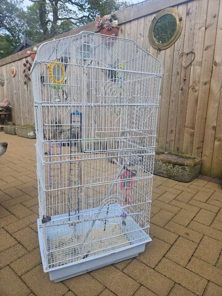 Large bird cage