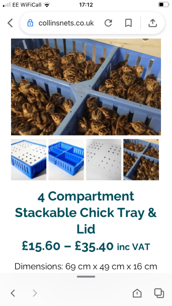 4 compartment chick box