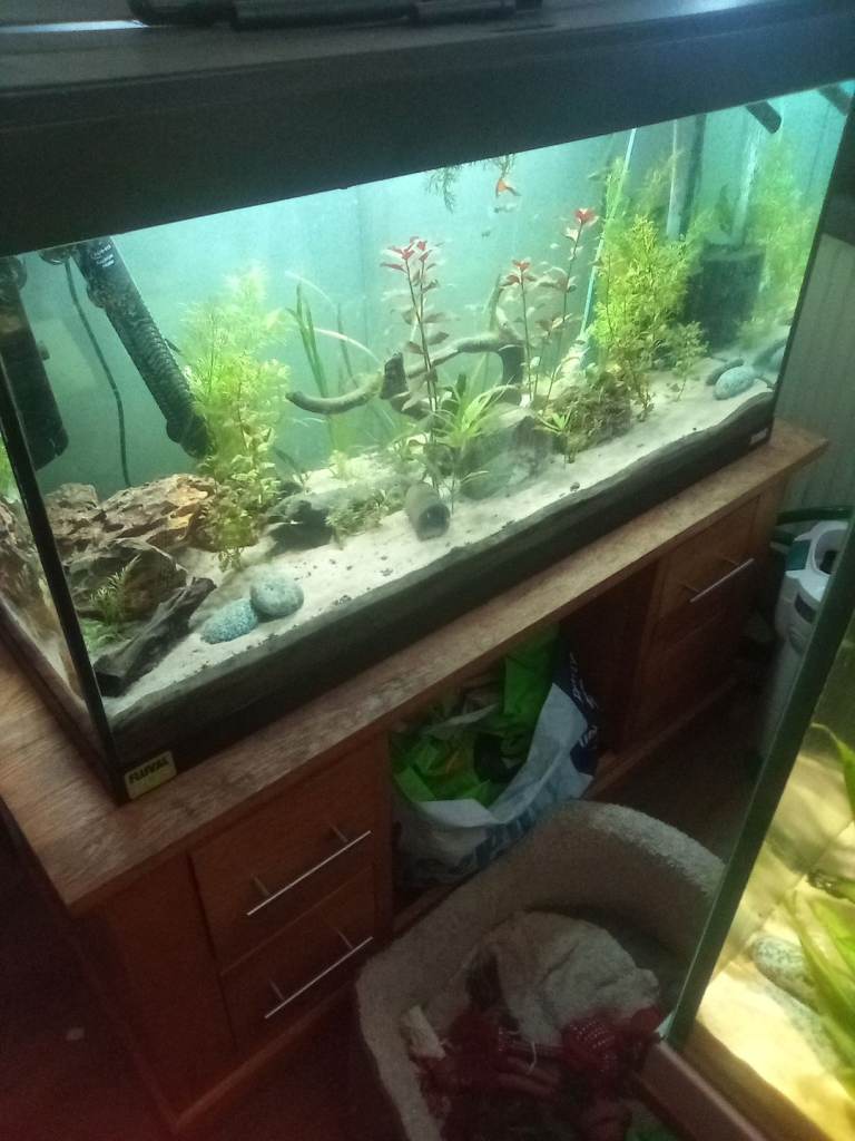 Fluval 205 