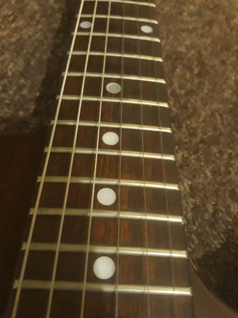 Gibson Les Paul Hondo Professional Japan MIJ 1020 1981