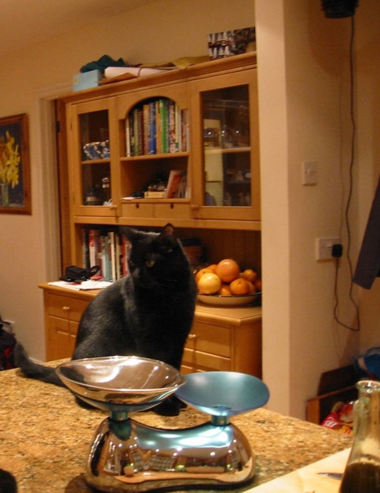 Contemporary Maple Dresser by Woodstock (cat not included)