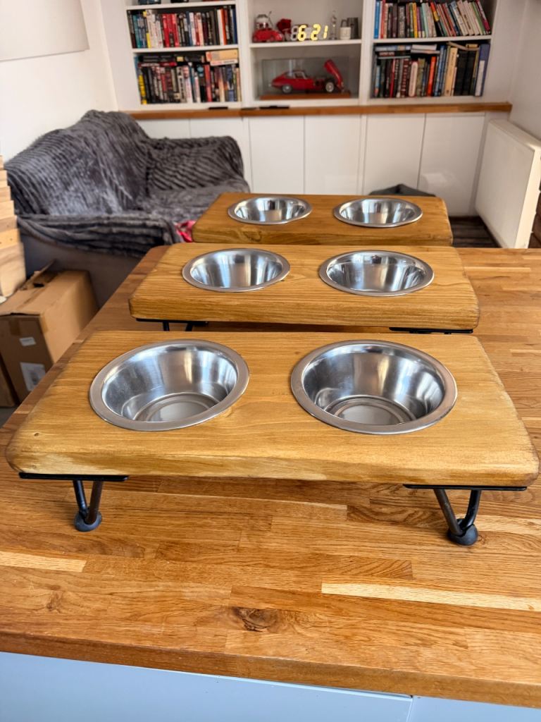 Dog feeding station