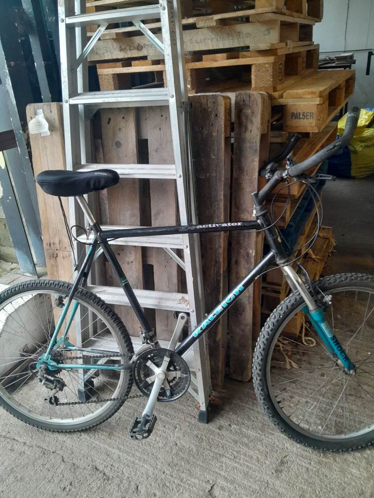 OxBykes Raleigh Activator 21" frame