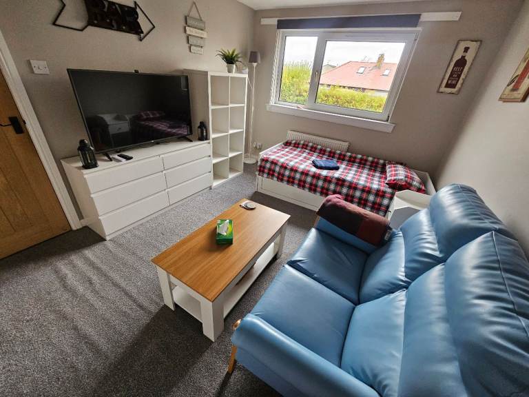 Private house with 3 cats in