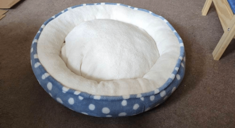 Cat Bed Unused 