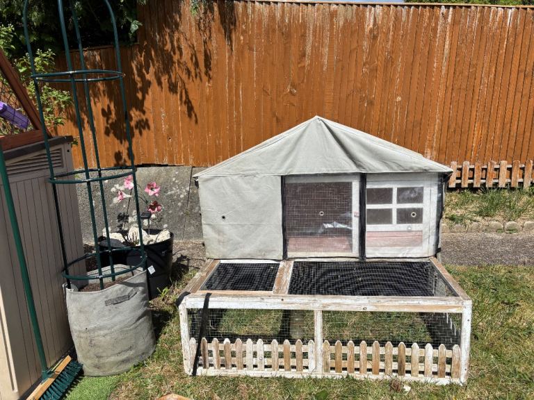 pets at home blossom cotage hutch and run for guinea pigs with thermal cover